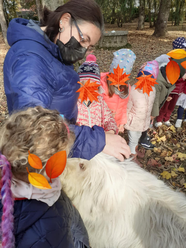 255365768 2139103292895485 8247453988735312966 n